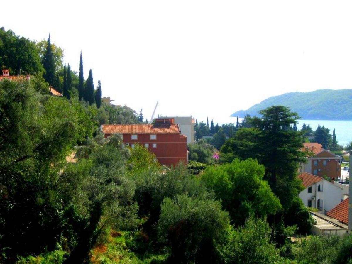 Villa Seka Budva Dış mekan fotoğraf